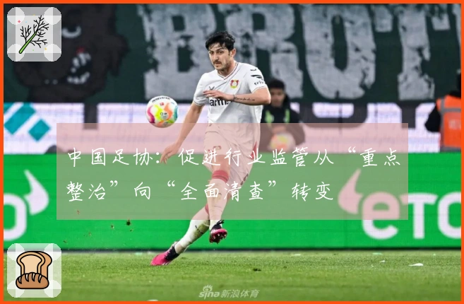 中国足协：促进行业监管从“重点整治”向“全面清查”转变